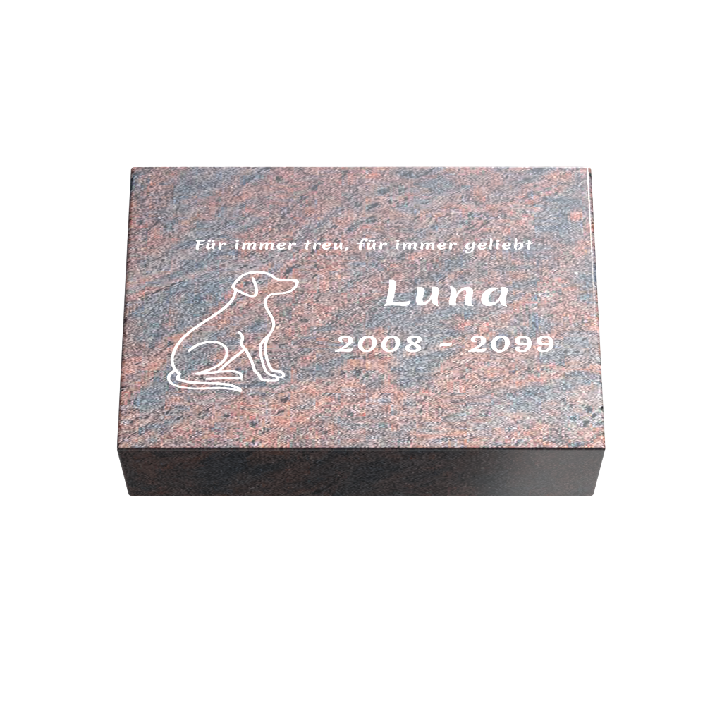 Personalisierte rechteckige Tiergrabplatte aus Granit für Hund, Katze & Haustiere 30 × 20 × 6 cm